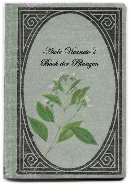 Datei:Asolo Vicancio Buch der Pflanzen Deutsch.jpg